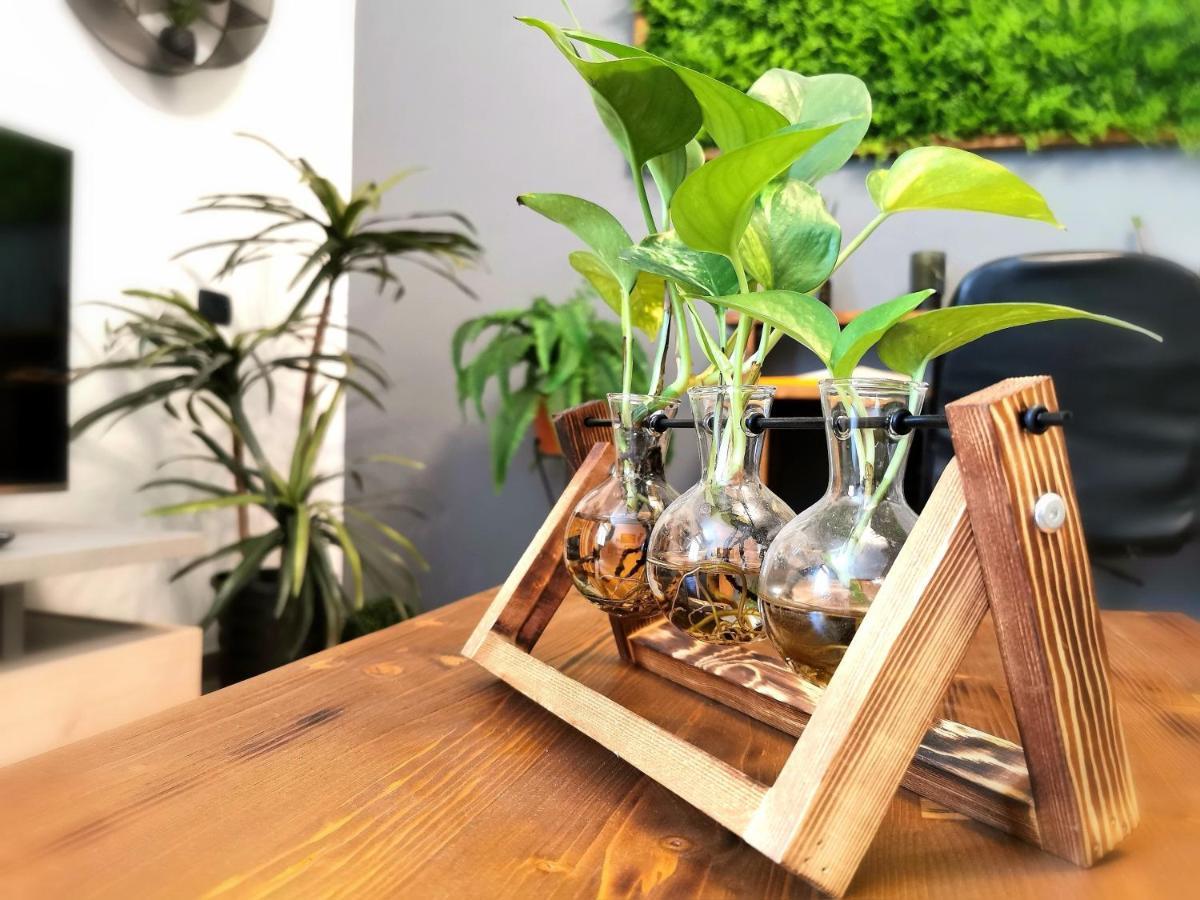 Vakantiehuis Evergreen House *